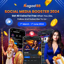 Comprehensive Evaluation of Nagad88