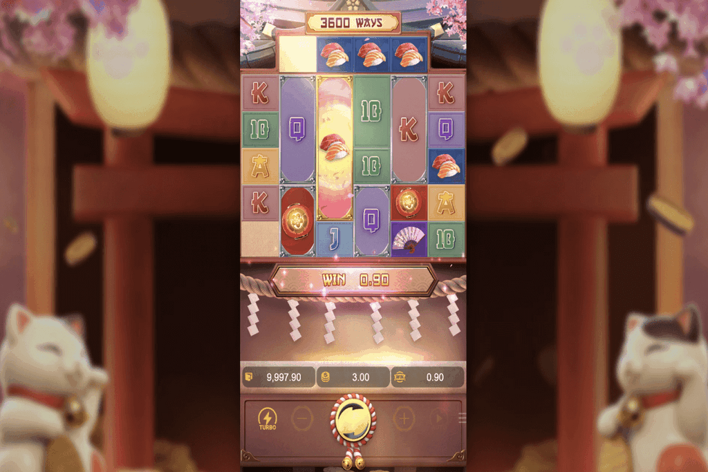 សេចក្តីសង្ខេបនៃការបង្ហាញរន្ធដោត Lucky Neko